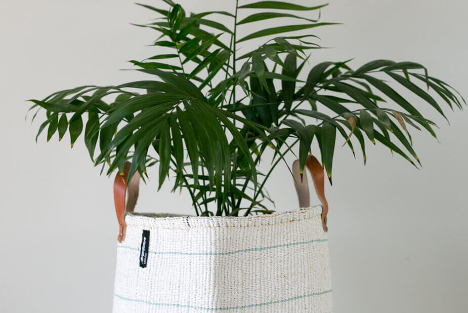 Three curabitur lobortis est at odio imperdiet