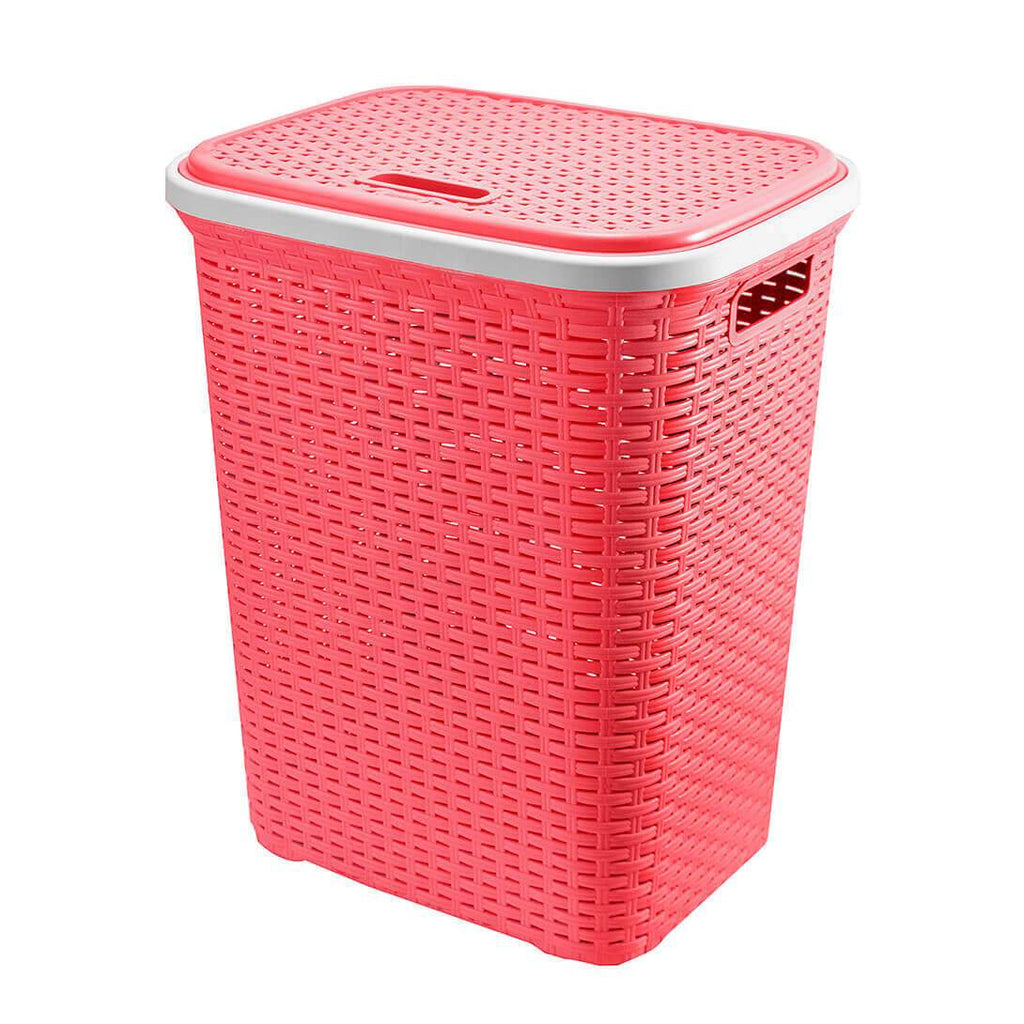 Orbit Terrarium - Small